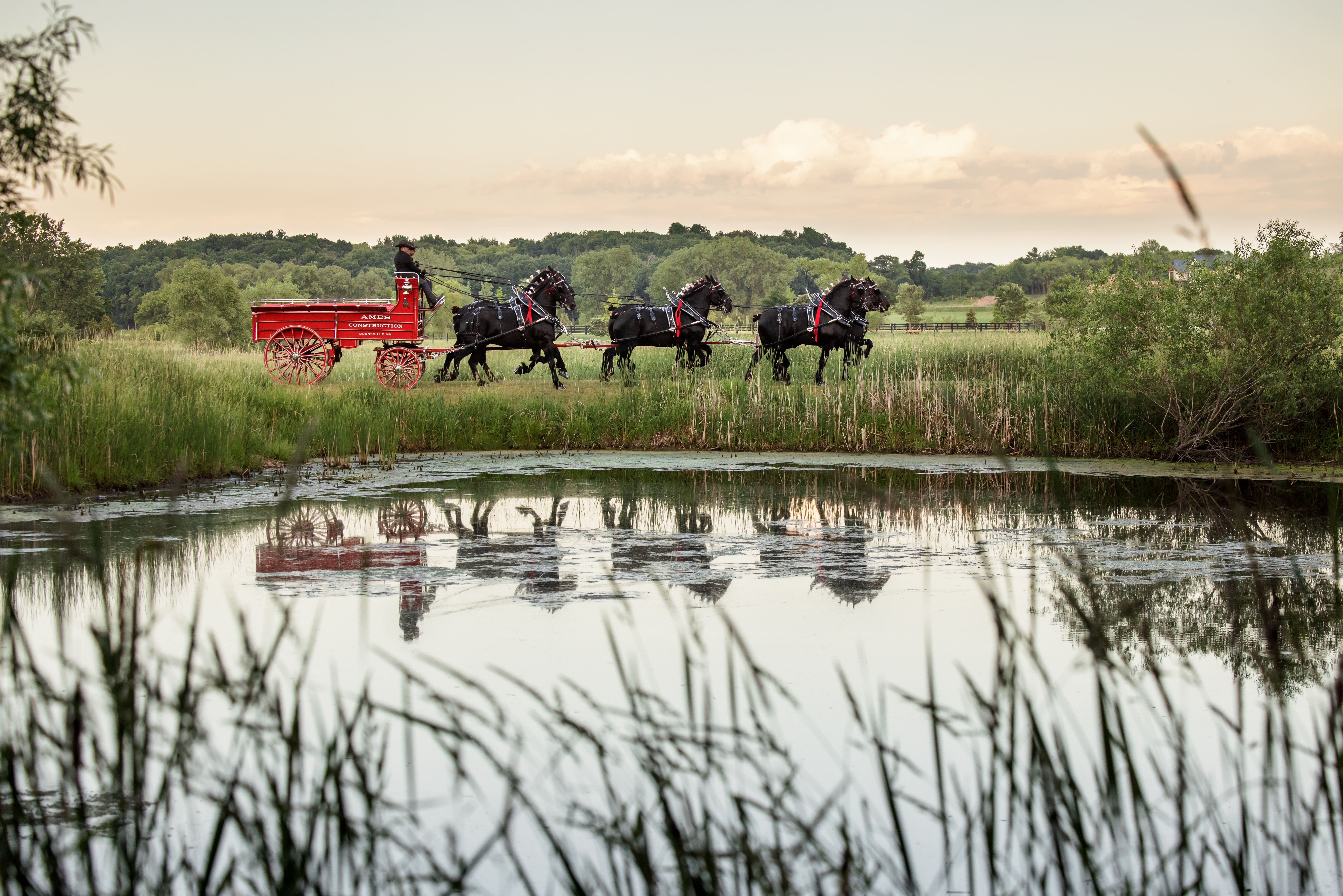 Ames, Percheron, farm